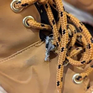 Nike | Shoes | Nike Manoa Mens Leather Workboot Size 9  display picture 1